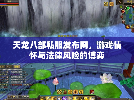 天龙八部私服发布网，游戏情怀与法律风险的博弈