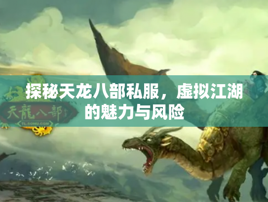 探秘天龙八部私服，虚拟江湖的魅力与风险