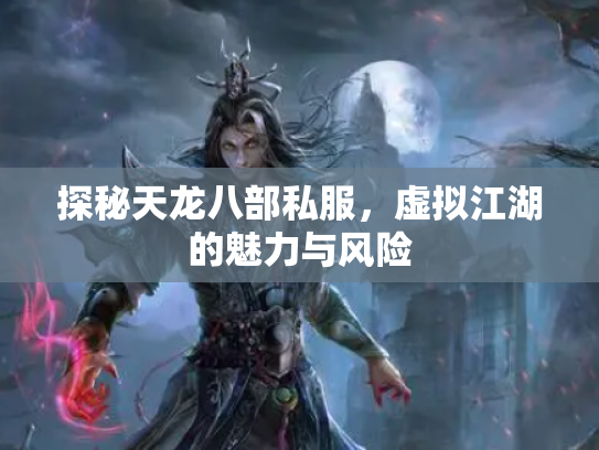 探秘天龙八部私服，虚拟江湖的魅力与风险