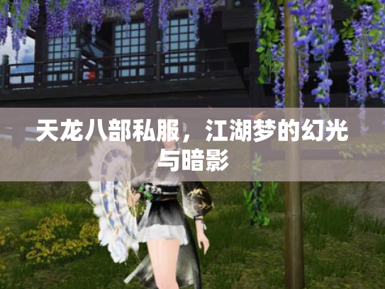 天龙八部私服，江湖梦的幻光与暗影