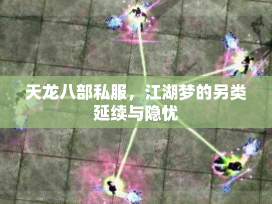 天龙八部私服，江湖梦的另类延续与隐忧