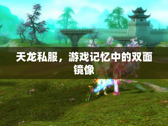 天龙私服，游戏记忆中的双面镜像
