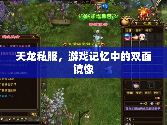 天龙私服，游戏记忆中的双面镜像