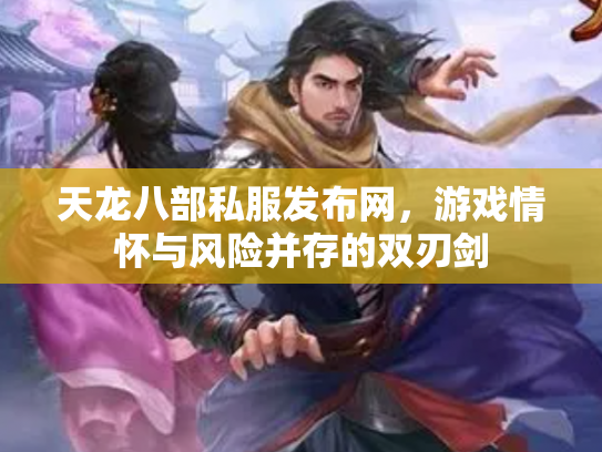 天龙八部私服发布网，游戏情怀与风险并存的双刃剑