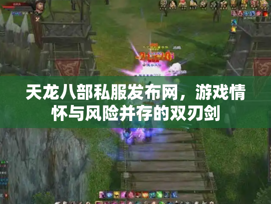 天龙八部私服发布网，游戏情怀与风险并存的双刃剑