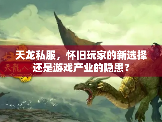 天龙私服，怀旧玩家的新选择还是游戏产业的隐患？