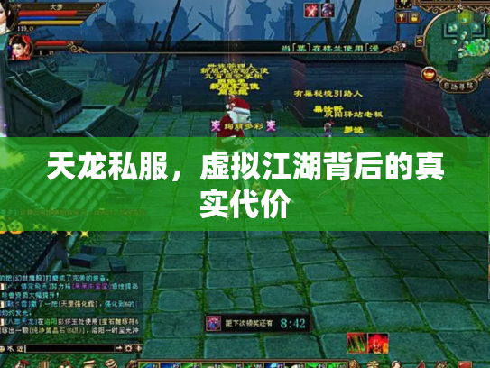 天龙私服，虚拟江湖背后的真实代价