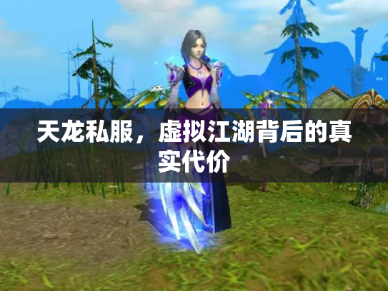 天龙私服，虚拟江湖背后的真实代价