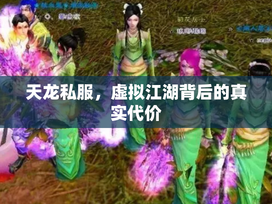 天龙私服，虚拟江湖背后的真实代价