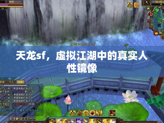 天龙sf，虚拟江湖中的真实人性镜像