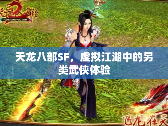 天龙八部SF，虚拟江湖中的另类武侠体验
