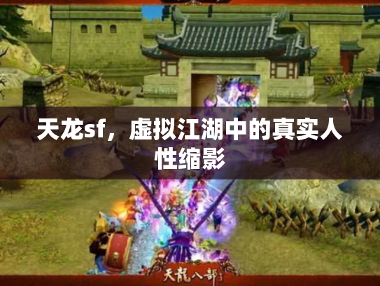 天龙sf，虚拟江湖中的真实人性缩影