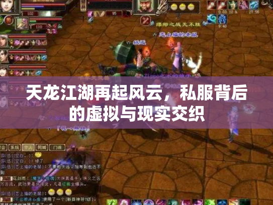 天龙江湖再起风云，私服背后的虚拟与现实交织