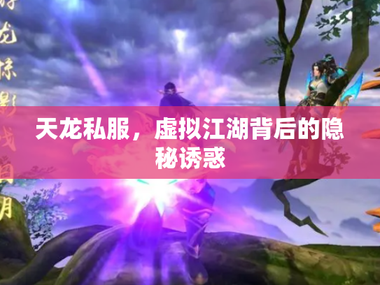 天龙私服，虚拟江湖背后的隐秘诱惑