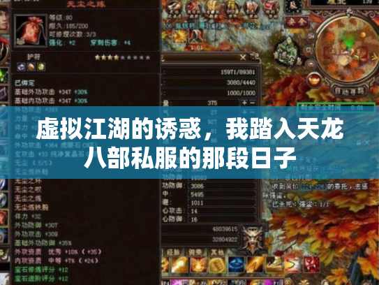 虚拟江湖的诱惑，我踏入天龙八部私服的那段日子