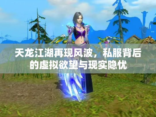 天龙江湖再现风波，私服背后的虚拟欲望与现实隐忧