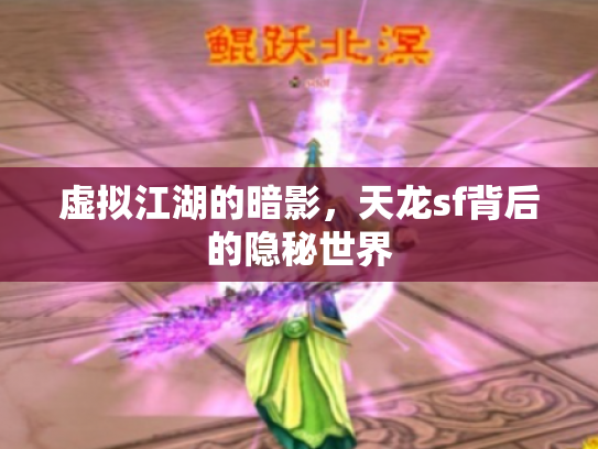 虚拟江湖的暗影，天龙sf背后的隐秘世界
