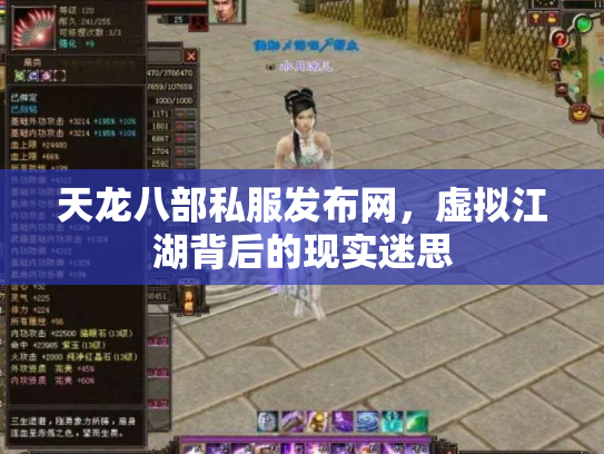 天龙八部私服发布网，虚拟江湖背后的现实迷思