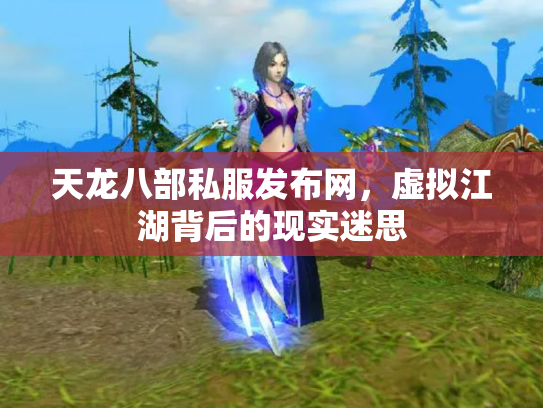 天龙八部私服发布网，虚拟江湖背后的现实迷思