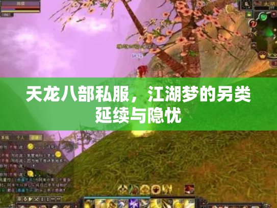 天龙八部私服，江湖梦的另类延续与隐忧