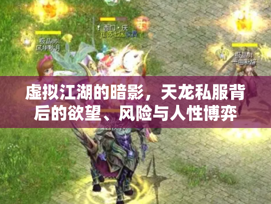 虚拟江湖的暗影，天龙私服背后的欲望、风险与人性博弈