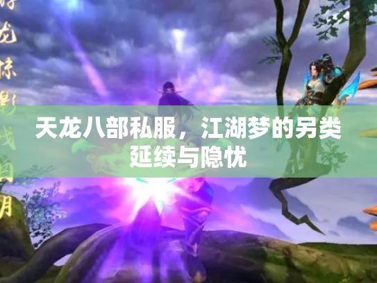 天龙八部私服，江湖梦的另类延续与隐忧