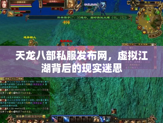 天龙八部私服发布网，虚拟江湖背后的现实迷思