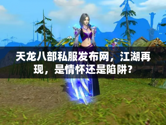 天龙八部私服发布网，江湖再现，是情怀还是陷阱？