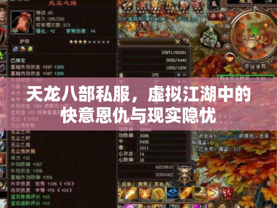 天龙八部私服，虚拟江湖中的快意恩仇与现实隐忧