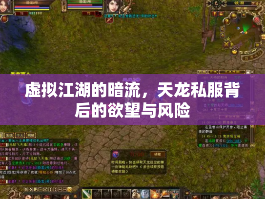 虚拟江湖的暗流，天龙私服背后的欲望与风险