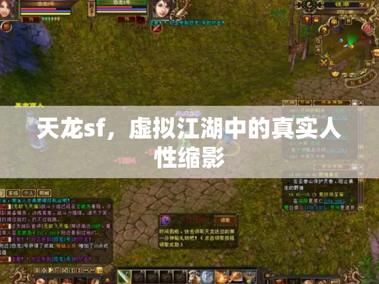 天龙sf，虚拟江湖中的真实人性缩影