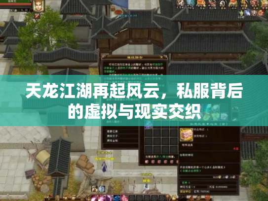 天龙江湖再起风云，私服背后的虚拟与现实交织