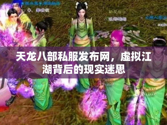 天龙八部私服发布网，虚拟江湖背后的现实迷思