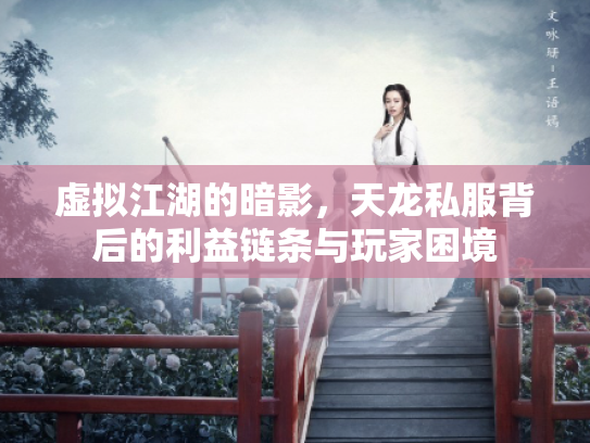虚拟江湖的暗影，天龙私服背后的利益链条与玩家困境