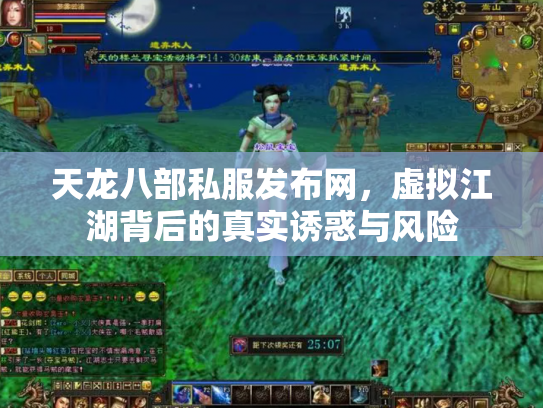天龙八部私服发布网，虚拟江湖背后的真实诱惑与风险