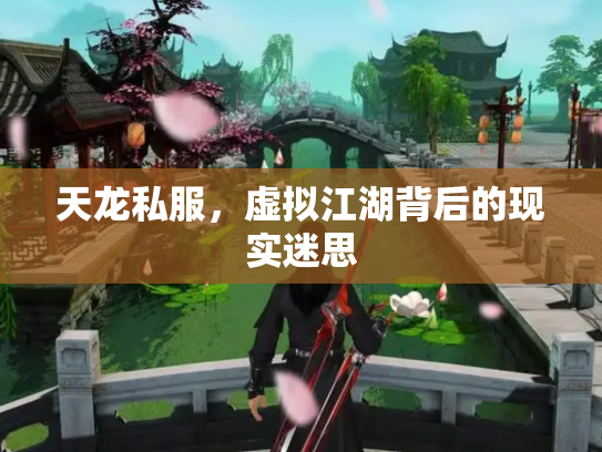天龙私服，虚拟江湖背后的现实迷思