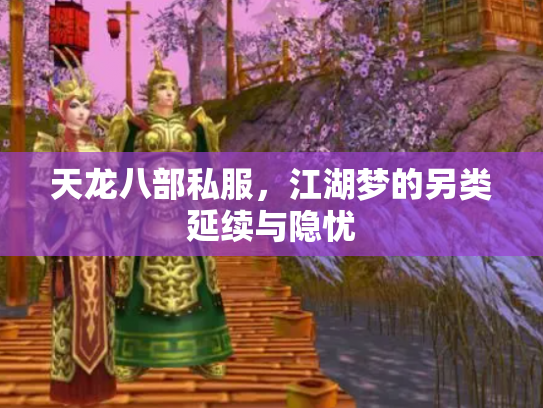 天龙八部私服，江湖梦的另类延续与隐忧