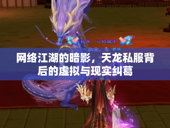网络江湖的暗影，天龙私服背后的虚拟与现实纠葛