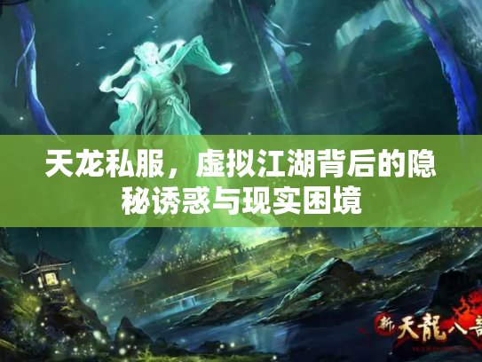 天龙私服，虚拟江湖背后的隐秘诱惑与现实困境