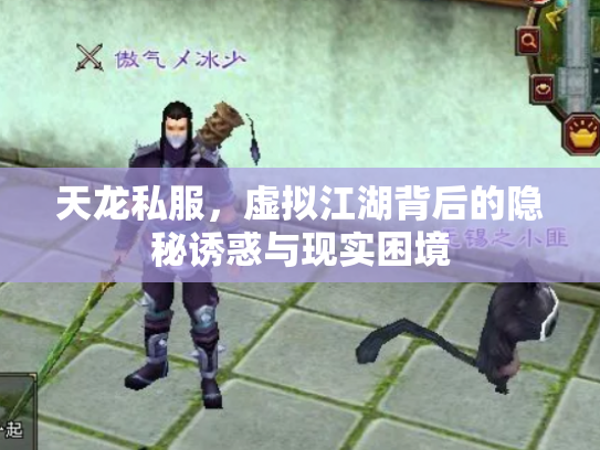 天龙私服，虚拟江湖背后的隐秘诱惑与现实困境