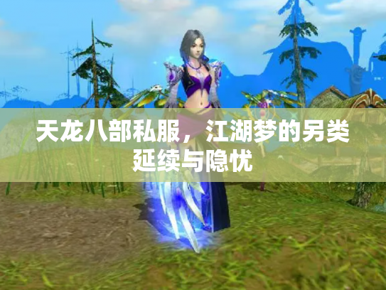 天龙八部私服，江湖梦的另类延续与隐忧