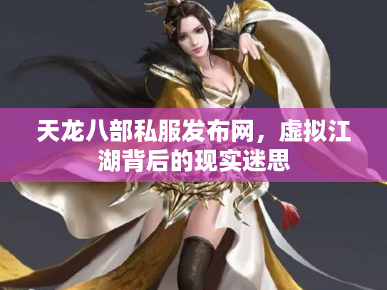 天龙八部私服发布网，虚拟江湖背后的现实迷思