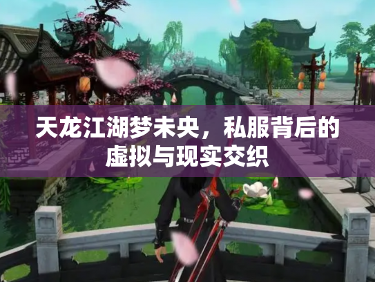 天龙江湖梦未央，私服背后的虚拟与现实交织