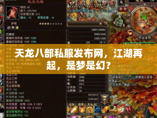 天龙八部私服发布网，江湖再起，是梦是幻？