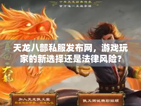 天龙八部私服发布网，游戏玩家的新选择还是法律风险？