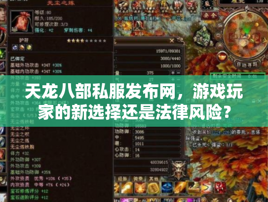 天龙八部私服发布网，游戏玩家的新选择还是法律风险？