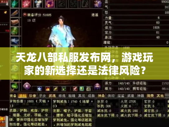天龙八部私服发布网，游戏玩家的新选择还是法律风险？