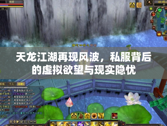 天龙江湖再现风波，私服背后的虚拟欲望与现实隐忧