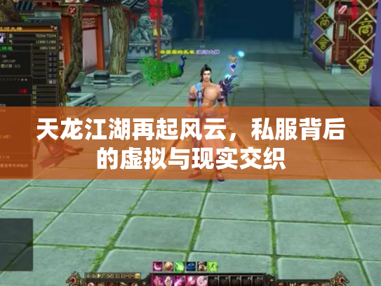 天龙江湖再起风云，私服背后的虚拟与现实交织