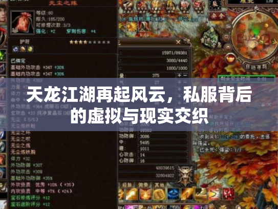 天龙江湖再起风云，私服背后的虚拟与现实交织